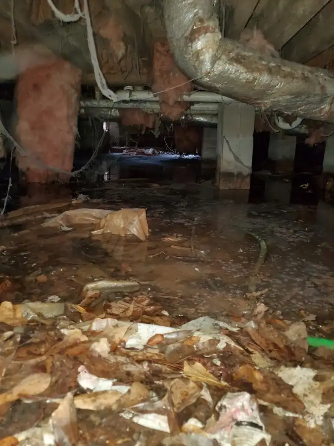 Crawl space flood assessment for Leak Detection & Repair in Harker Heights